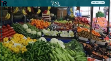 تحديث أسعار الخضار والفاكهة في المنوفية الأربعاء 17-12-2025